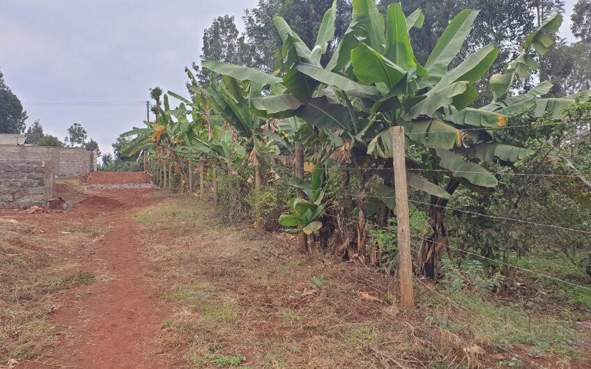 1/8 Acre plots – Kangoya, Kiambu