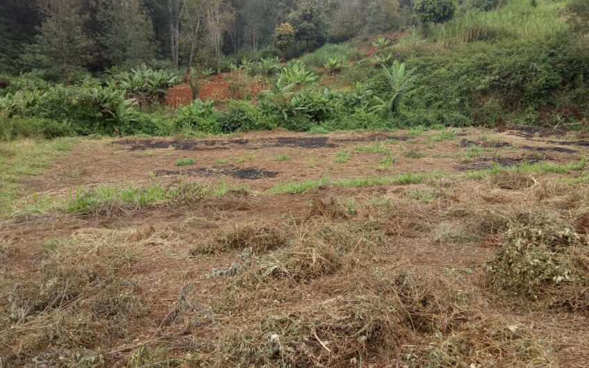 3 Acres at Lower Kabete, 700 meters from the Tarmac