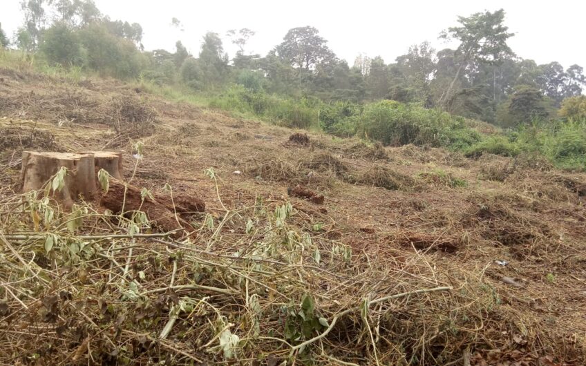 3 Acres at Lower Kabete, 700 meters from the Tarmac