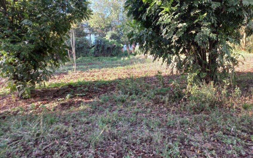 1/2 Acre at Ngong,1KM From Citam