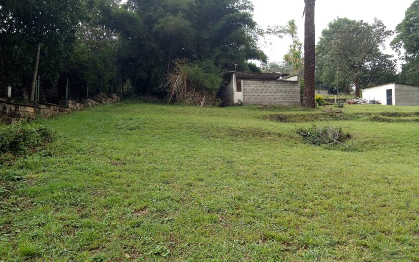 1/2 Acre at Peponi Road, ON OFFER