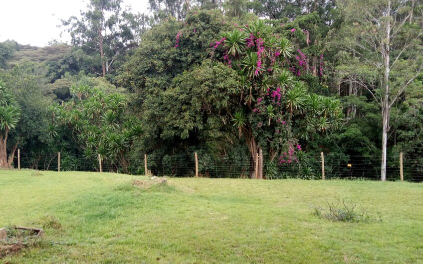 1/2 Acre at Peponi Road, next to The French Embassy