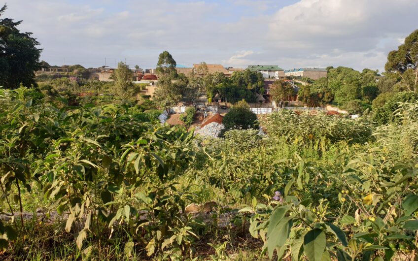 1.25 acres – Ruaka – Touching Limuru Road