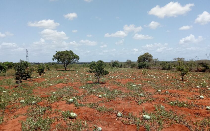 1 acre plots in Malindi