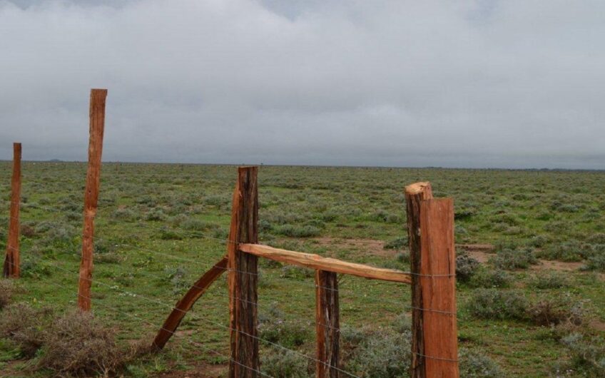 20 Acres for Lease at Narok