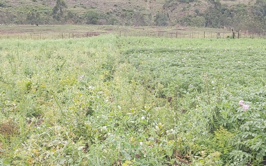 6 acres – Kipipiri, Nyandarua County