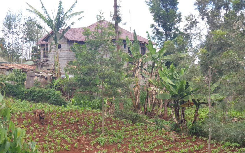 3/4 acre plot – Ndumberi – Kihingo