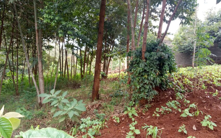 3/4 acre plot – Ndumberi – Kihingo