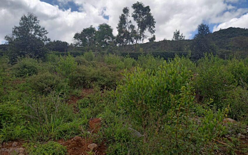 1/8 acre Kikuyu – Kamangu